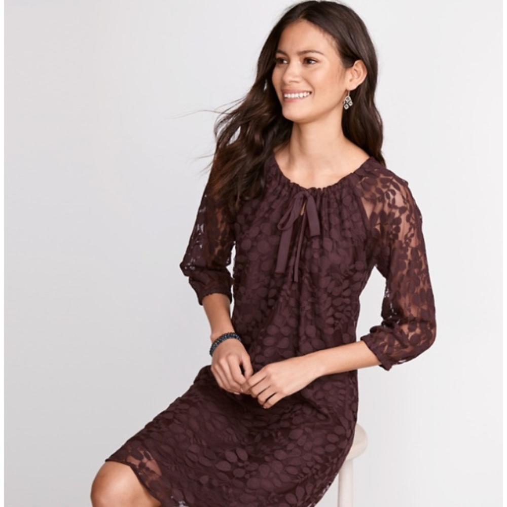 Garnet Hill Boheme Easy lace dress